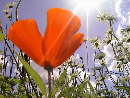 mes images::::::::::::